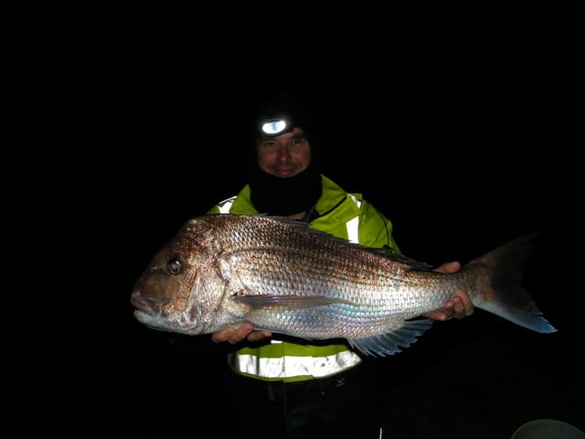 Winter Snapper 09